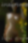 Local discrete sexual