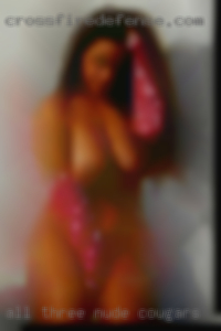 All three of the above nude cougars and I melt.